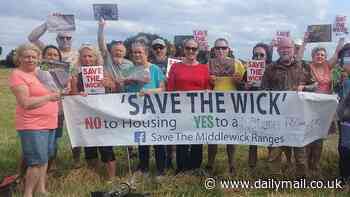 Furious residents blast council over 'annihilation' of Essex grassland teaming with rare birds and insects for 1,000 newbuild homes