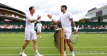 Andy Murray coaching Novak Djokovic makes sense after Rafa Nadal and Roger Federer comment