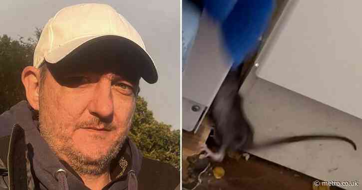 Man killing rats ‘every day’ that even live inside his cereal cupboard