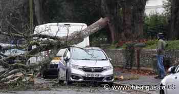 Live: Tree smashed on to car as Storm Bert causes chaos