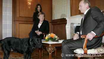 Angela Merkel accuses Putin of gleefully 'enjoying' her discomfort after Russian president brought his pet Labrador into meeting with German chancellor despite her having a fear of dogs