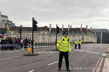 Westminster 'stabbing' incident bombshell as police give major update on victim