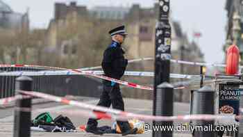 Police swarm Westminster Bridge after man attacked in front of horrified tourists metres from the Houses of Parliament - as officers arrest four people following 'attempted murder'