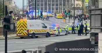 Man 'stabbed' on Westminster Bridge actually suffered cardiac arrest  police