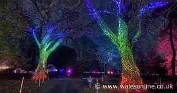 Huge Welsh Christmas attraction closes after one day due to storm Bert