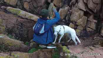 Moment missing dog is rescued by brave volunteers just metres from the edge of deadly cliffs