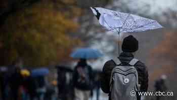 Canada's post-secondary industry predicts a storm ahead, as budget cuts shrink courses, staff