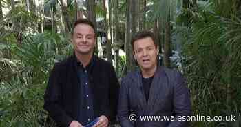 ITV I'm A Celeb fans 'gutted' as Ant and Dec halt show to make big announcement