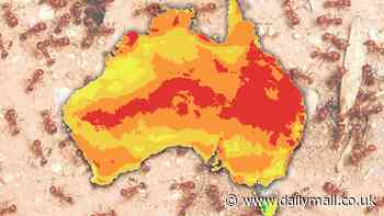 Terrifying map exposes 'national disaster' waiting to happen: 'Quite concerned'