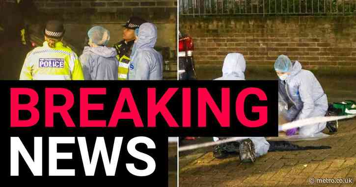 ‘Child and man caught in crossfire’ after ‘shooting’ on London estate