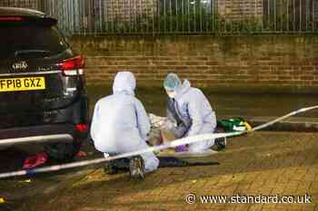 ‘My baby’s been shot!’: Screams heard after girl, 8, hurt in double shooting in Ladbroke Grove