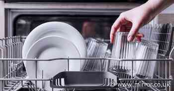 Things you should never put in the dishwasher as they can cause 'serious damage'