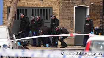 The rival gangs vying for control of Ladbroke Grove: How shooting of innocent eight-year-old is latest outbreak of gun violence to erupt on streets of the West London area now blighted by turf war