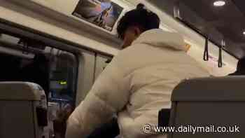 Moment train passengers brawl after reports fight started when one refused to move his bags off a seat