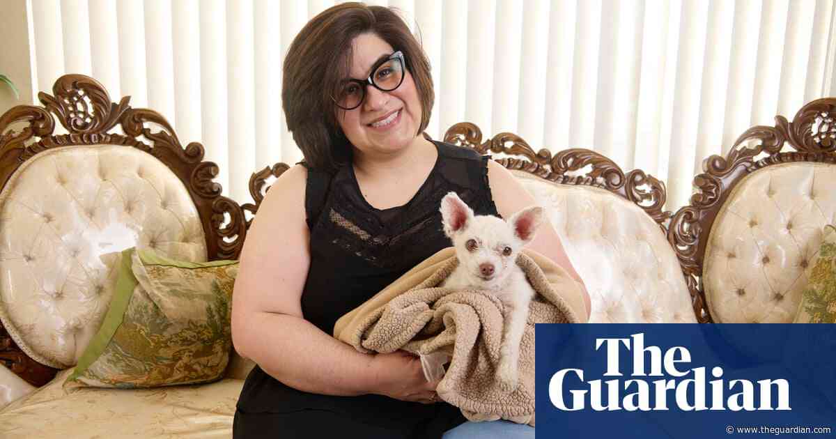 Experience: My dog went missing for nine years – then we were reunited