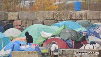 Two opposing opinions on use of Charter clause to clear homeless encampments