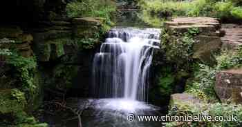 Newcastle Council to take back parks as funding to charity Urban Green cut off