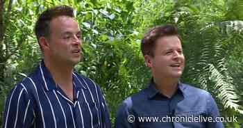 ITV I'm A Celebrity's Ant and Dec applaud star as they reach show milestone