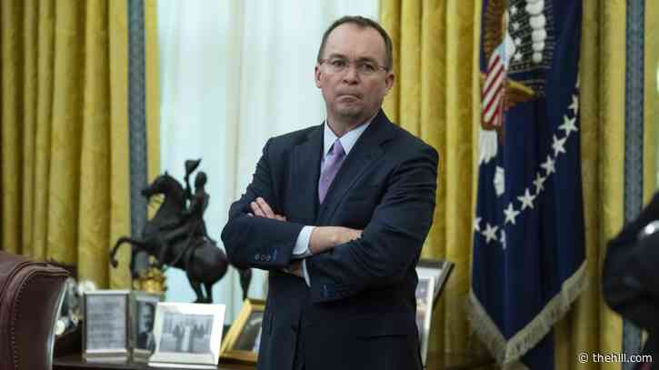 Mulvaney calls DOGE a 'PR campaign,' but respects Musk, Ramaswamy's attempt to reform government