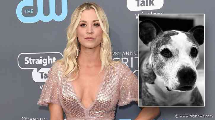 Kaley Cuoco made ‘excruciating decision' to rehome her dog after 'mega fights' with fiancé's pet