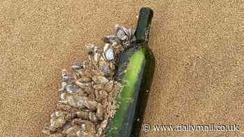 Message in a bottle washes up on Peterborough beach after 16 years at sea