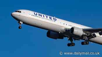 Bizarre moment United Airlines passenger tries to destroy a plane seat before three others restrain him with zip ties