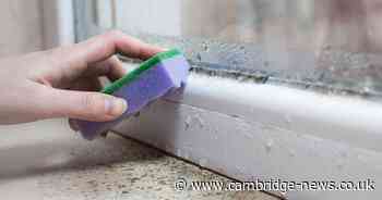 How to permanently remove condensation and mould using two cheap kitchen items