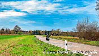 L 356 bei Hochdorf: Sanierungsbeginn  noch  im Dezember