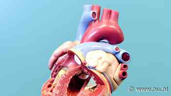 Wetenschappers vinden mogelijk nieuwe behandeling dankzij virtueel hart