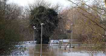 Storm Conall: Met Office names new storm set to bring 14 hours of torrential rain