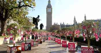 Assisted dying plans face fresh hurdle after group of MPs tries to scupper vote