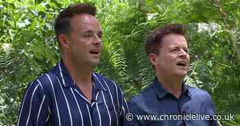 Ant and Dec in a 'state' after incident at £1k a night penthouse disrupts I'm A Celebrity schedule