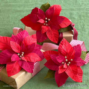 VIDEO: Crepe Paper Two-Tone Poinsettia