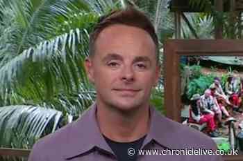 ITV I'm A Celebrity's Ant McPartlin leaves fans in hysterics with seven-word remark after show change