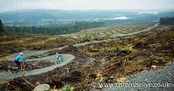 Kielder Forest's lonesome Pine bike trail reopens three years after Storm Arwen destruction