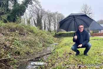 Pidpa ruimt overstromingsgevoelige gracht op in Klein-Willebroek: “Deze gracht krijgt heel wat water te slikken”