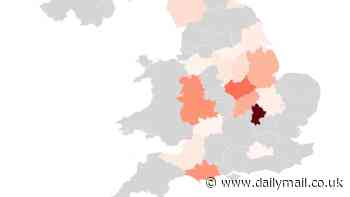 The 'porch pirate' map of Britain: Interactive graphic reveals if YOU live in doorstep parcel theft hotspot as experts reveal how to avoid being a target ahead of Black Friday