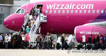 Wizz Air ad banned for misleading 'greenest choice in air travel' claim