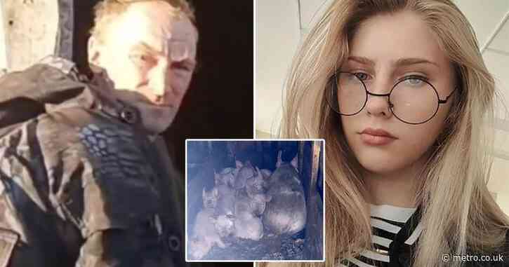 Girl, 17, mauled to death by pigs after ‘neighbour knocked her out after row’