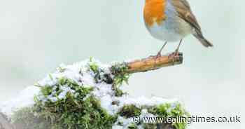 Enjoy county's nature treats in 12 Days Wild challenge