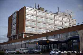 Horror as car crashes into Torbay Hospital with three people injured