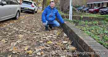 Storm Bert drives up Ealing leaf collection petition