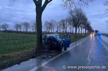 POL-PB: Nach Frontalaufprall gegen Straßenbaum schwer verletzt