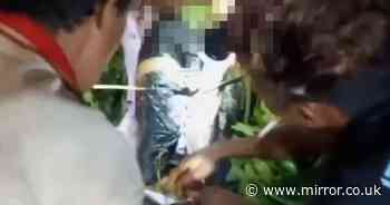 Horrifying moment man cuts his brother's body out of the belly of 23ft python