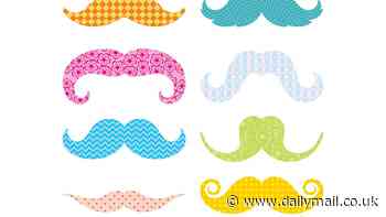 ANSWERS TO CORRESPONDENTS: Do all the different styles of moustache have names?