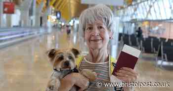 Pet owners to need 'passports' to go from one part of UK to another