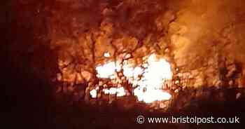 Arson attack destroys community garden project in Bristol