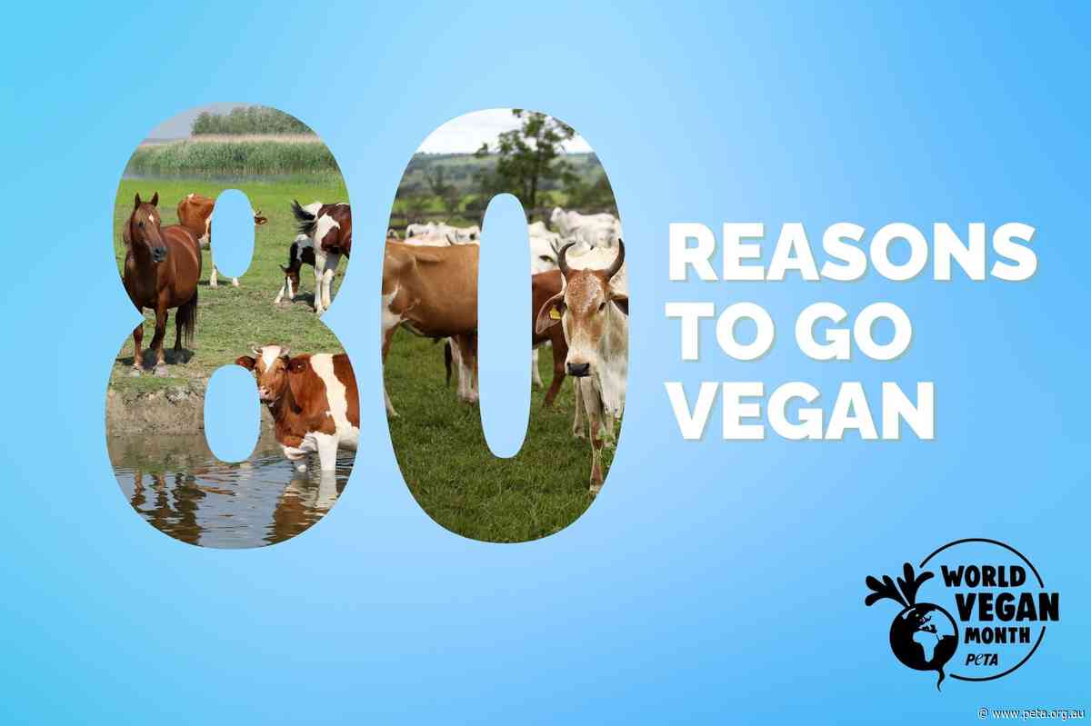 80 Reasons to Go Vegan This World Vegan Month