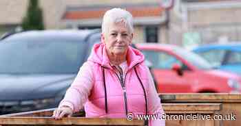 Newcastle great-grandmother's stolen bin plea as council urged to waive 'unfair' fees for pensioners