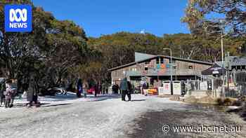 Skiing industry shocked after Victorian government puts snow resorts up for lease